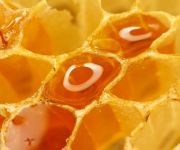 large-honeycomb-honey-bees-with-blue-circle-effect-fire-sun-backgrounds-hd-wallpaper-abstract-fantasy-picture-honeycamb-wallpaper